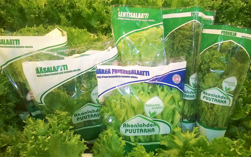 Akonlahden puutarha